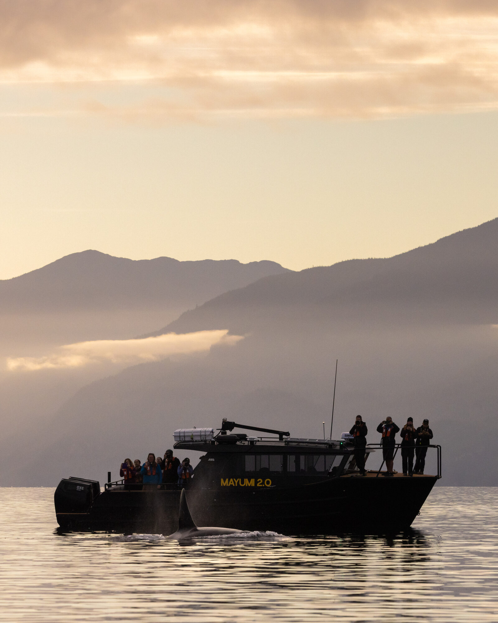 Sea Wolf Adventures boat at golden hour